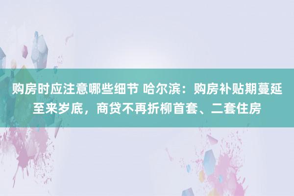 购房时应注意哪些细节 哈尔滨：购房补贴期蔓延至来岁底，商贷不再折柳首套、二套住房