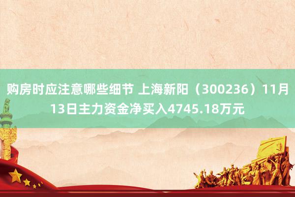 购房时应注意哪些细节 上海新阳（300236）11月13日主力资金净买入4745.18万元