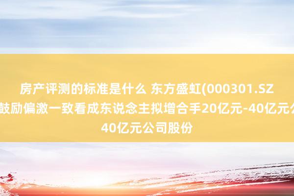 房产评测的标准是什么 东方盛虹(000301.SZ)：控股鼓励偏激一致看成东说念主拟增合手20亿元-40亿元公司股份