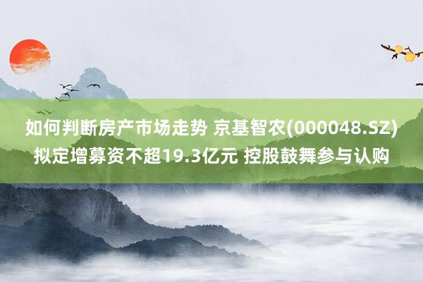 如何判断房产市场走势 京基智农(000048.SZ)拟定增募资不超19.3亿元 控股鼓舞参与认购