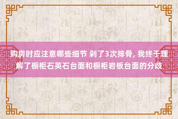 购房时应注意哪些细节 剁了3次排骨, 我终于理解了橱柜石英石台面和橱柜岩板台面的分歧