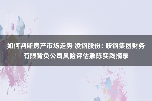 如何判断房产市场走势 凌钢股份: 鞍钢集团财务有限背负公司风险评估敷陈实践摘录