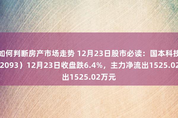 如何判断房产市场走势 12月23日股市必读：国本科技（002093）12月23日收盘跌6.4%，主力净流出1525.02万元