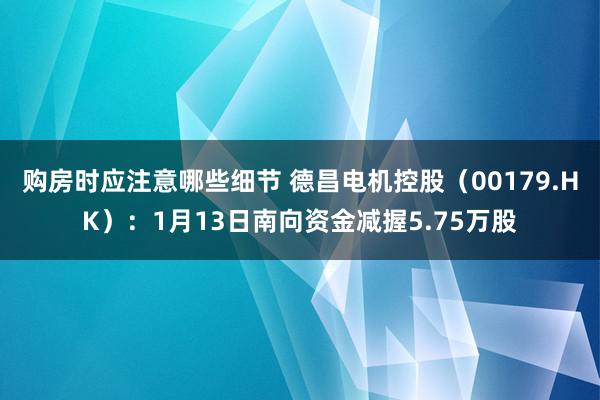 购房时应注意哪些细节 德昌电机控股（00179.HK）：1月13日南向资金减握5.75万股