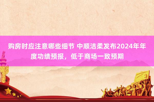 购房时应注意哪些细节 中顺洁柔发布2024年年度功绩预报，低于商场一致预期