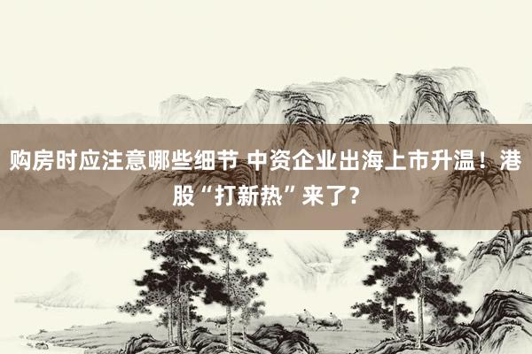 购房时应注意哪些细节 中资企业出海上市升温！港股“打新热”来了？