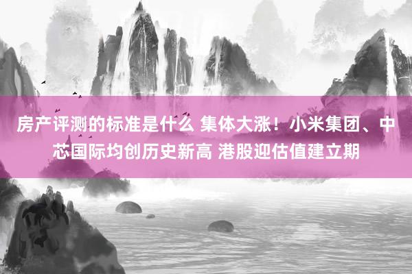 房产评测的标准是什么 集体大涨！小米集团、中芯国际均创历史新高 港股迎估值建立期