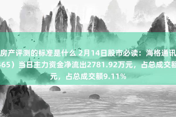 房产评测的标准是什么 2月14日股市必读：海格通讯（002465）当日主力资金净流出2781.92万元，占总成交额9.11%