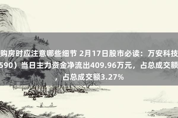 购房时应注意哪些细节 2月17日股市必读：万安科技（002590）当日主力资金净流出409.96万元，占总成交额3.27%