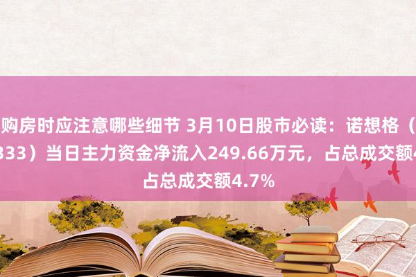 购房时应注意哪些细节 3月10日股市必读：诺想格（301333）当日主力资金净流入249.66万元，占总成交额4.7%